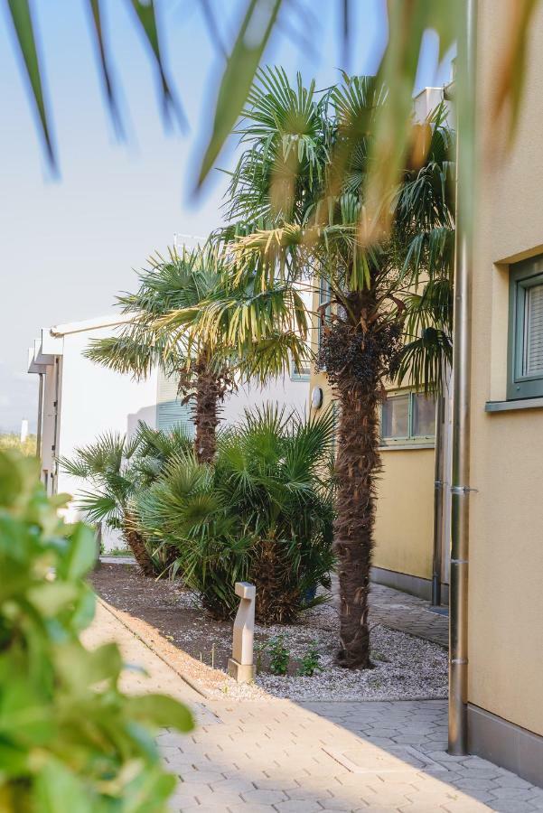 Apartma Joy - Private Beach Lägenhet Ankaran Exteriör bild
